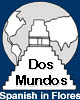 Study Spanish